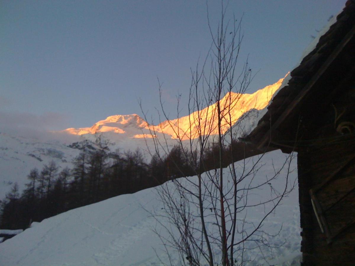 فيلا Chalet Birkhahn Saas Fee المظهر الخارجي الصورة