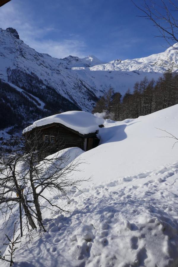 فيلا Chalet Birkhahn Saas Fee المظهر الخارجي الصورة