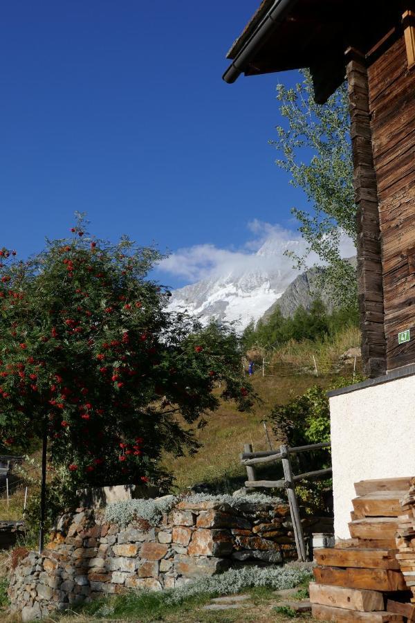 فيلا Chalet Birkhahn Saas Fee المظهر الخارجي الصورة