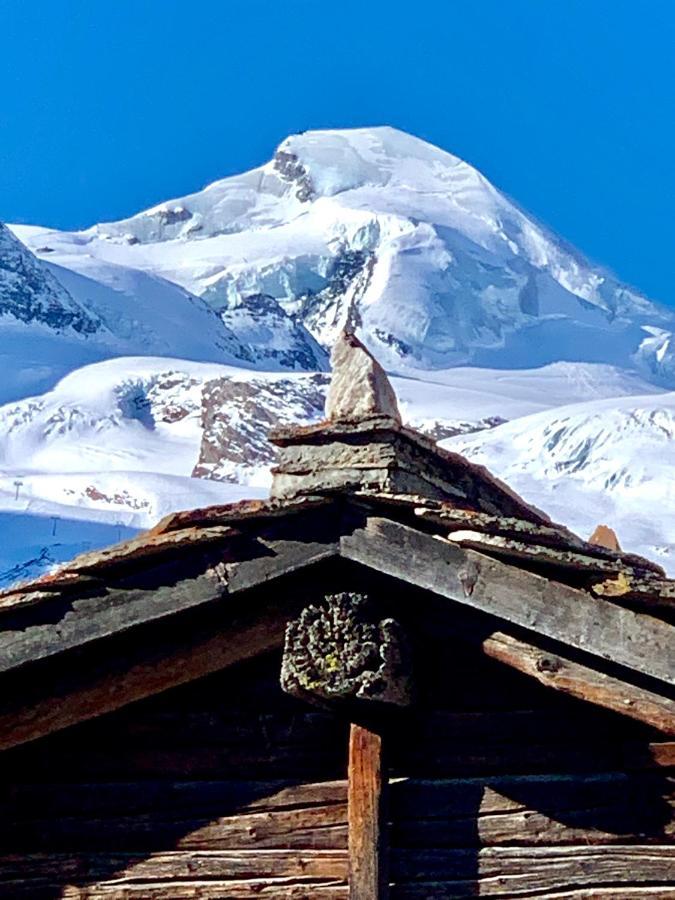 فيلا Chalet Birkhahn Saas Fee المظهر الخارجي الصورة