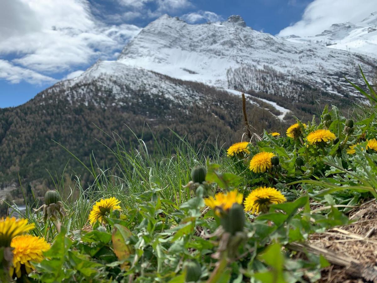 فيلا Chalet Birkhahn Saas Fee المظهر الخارجي الصورة