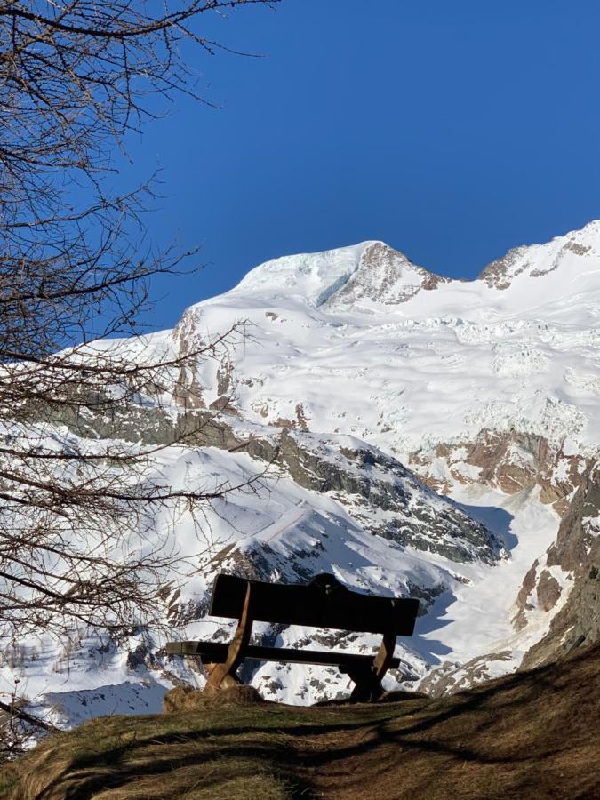 Chalet Birkhahn Saas Fee المظهر الخارجي الصورة
