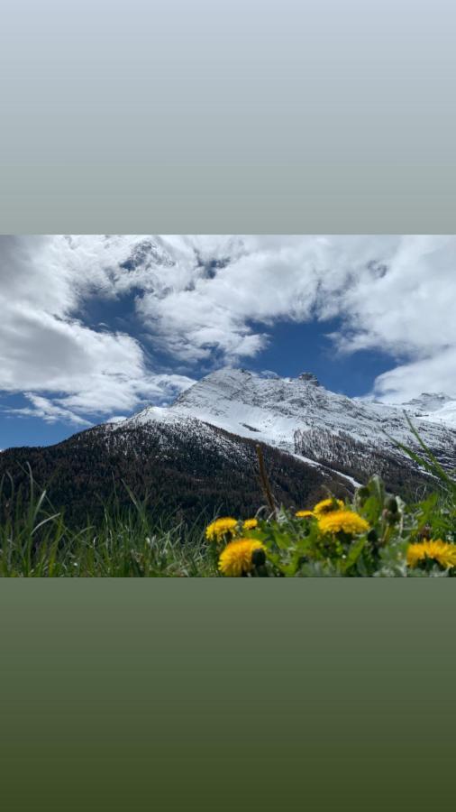 فيلا Chalet Birkhahn Saas Fee المظهر الخارجي الصورة