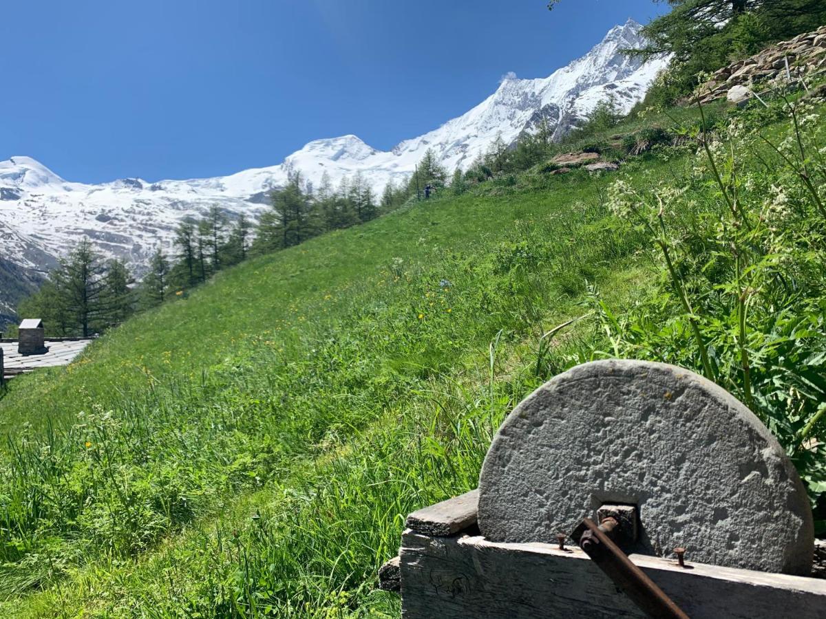 فيلا Chalet Birkhahn Saas Fee المظهر الخارجي الصورة