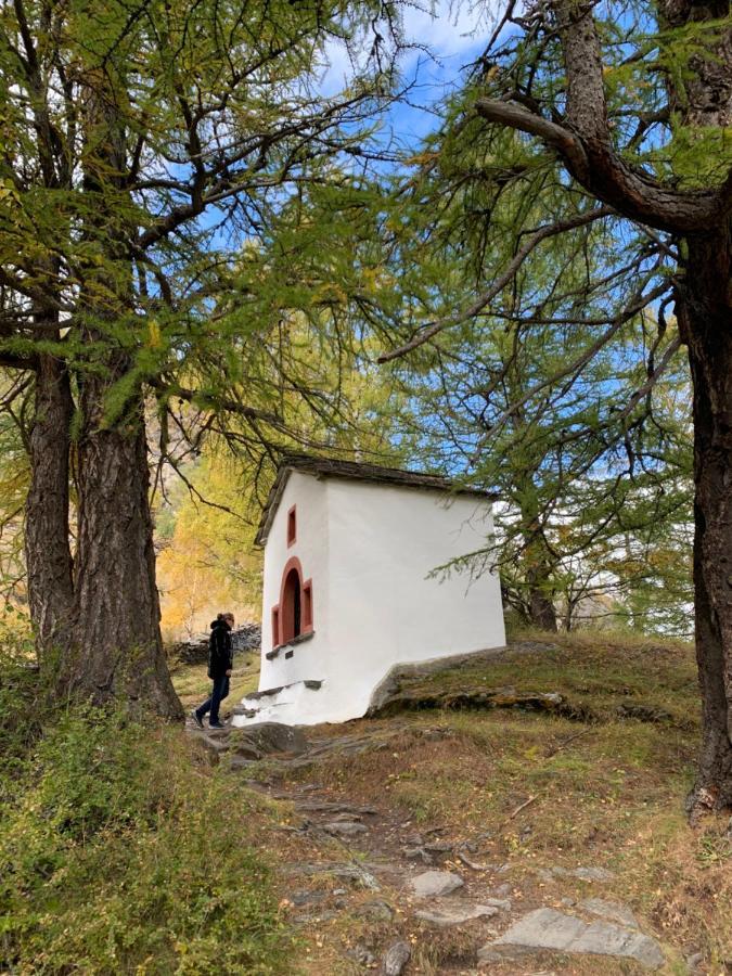 Chalet Birkhahn Saas Fee المظهر الخارجي الصورة