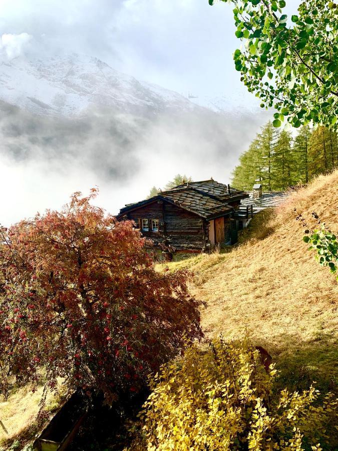 فيلا Chalet Birkhahn Saas Fee المظهر الخارجي الصورة