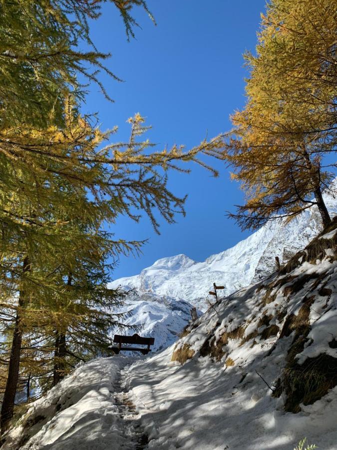 Chalet Birkhahn Saas Fee المظهر الخارجي الصورة
