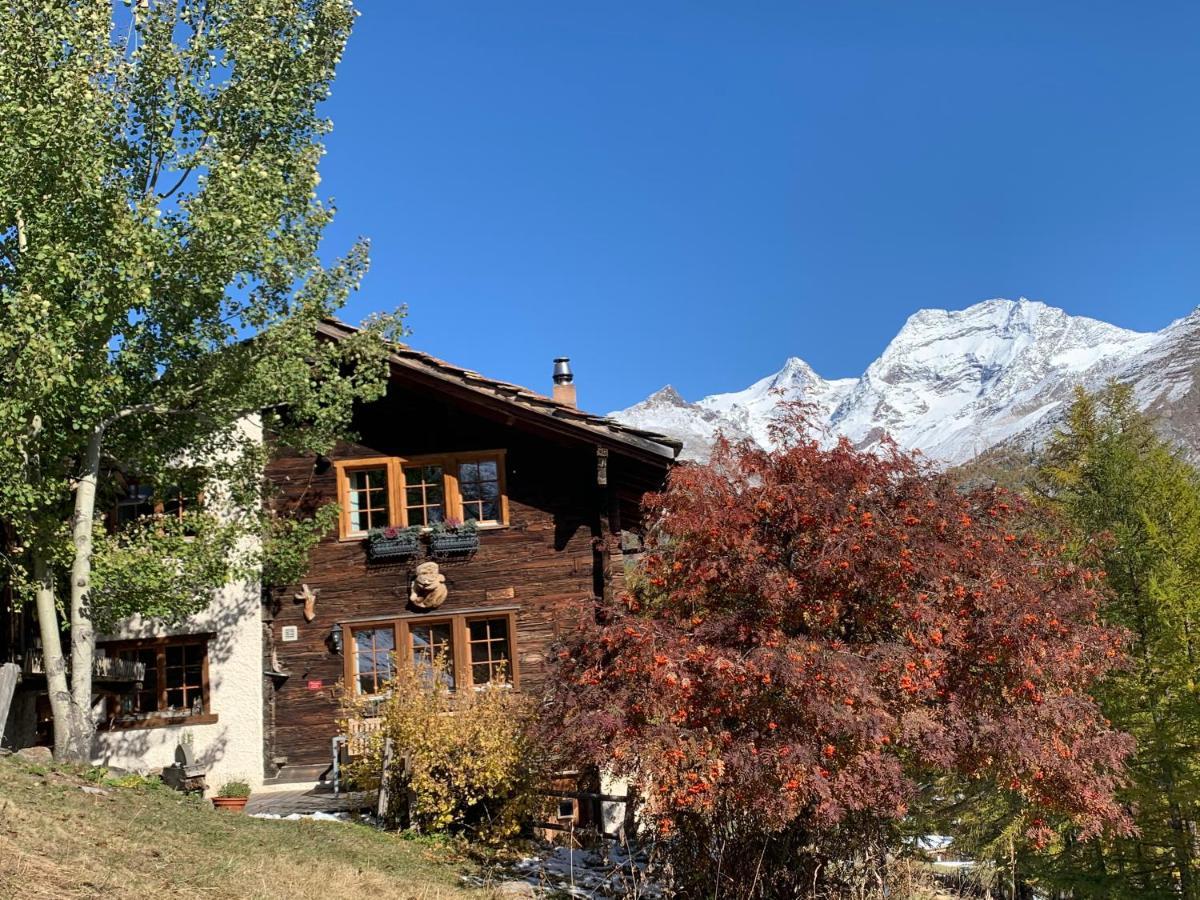 فيلا Chalet Birkhahn Saas Fee المظهر الخارجي الصورة