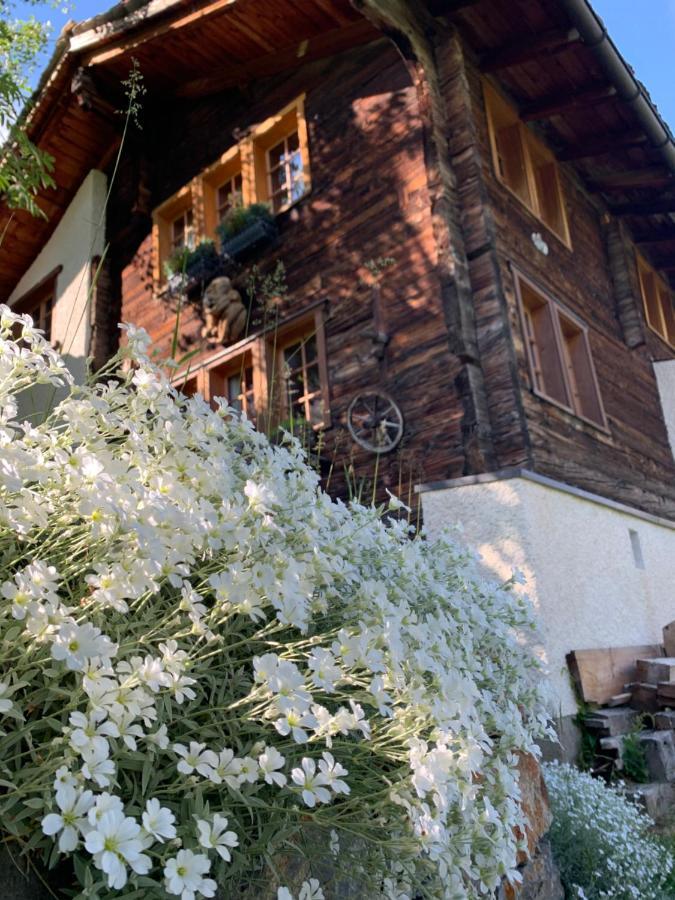 فيلا Chalet Birkhahn Saas Fee المظهر الخارجي الصورة