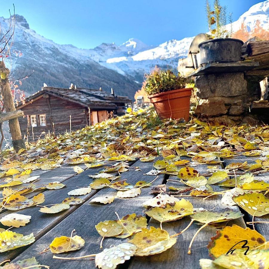 Chalet Birkhahn Saas Fee المظهر الخارجي الصورة