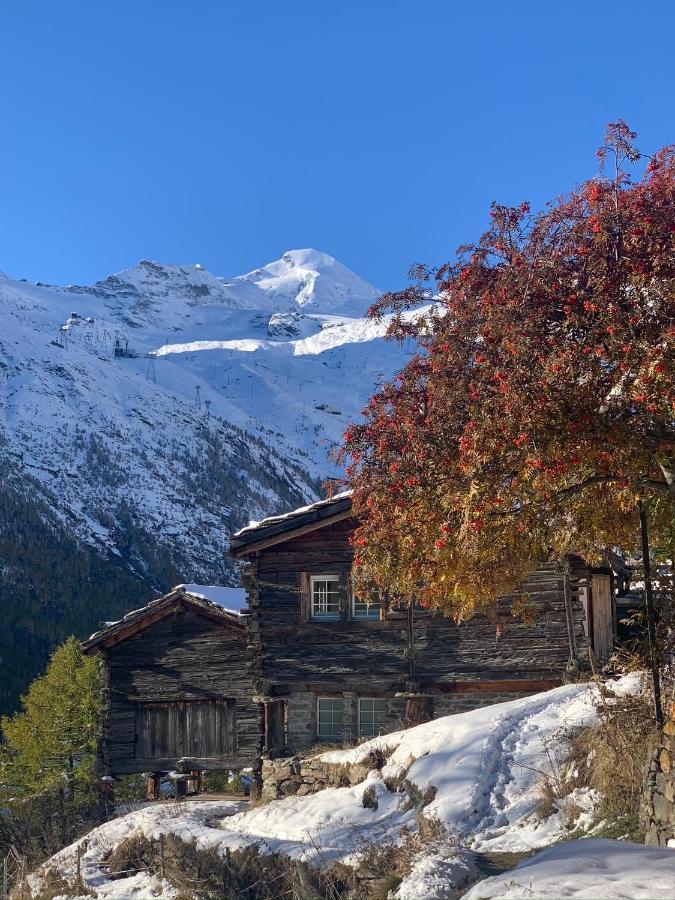 فيلا Chalet Birkhahn Saas Fee المظهر الخارجي الصورة